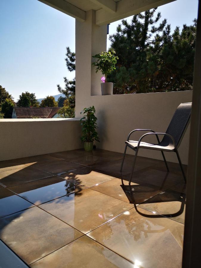 Spacy Apartment Next To The Center Of Graz With Terrasse Bagian luar foto