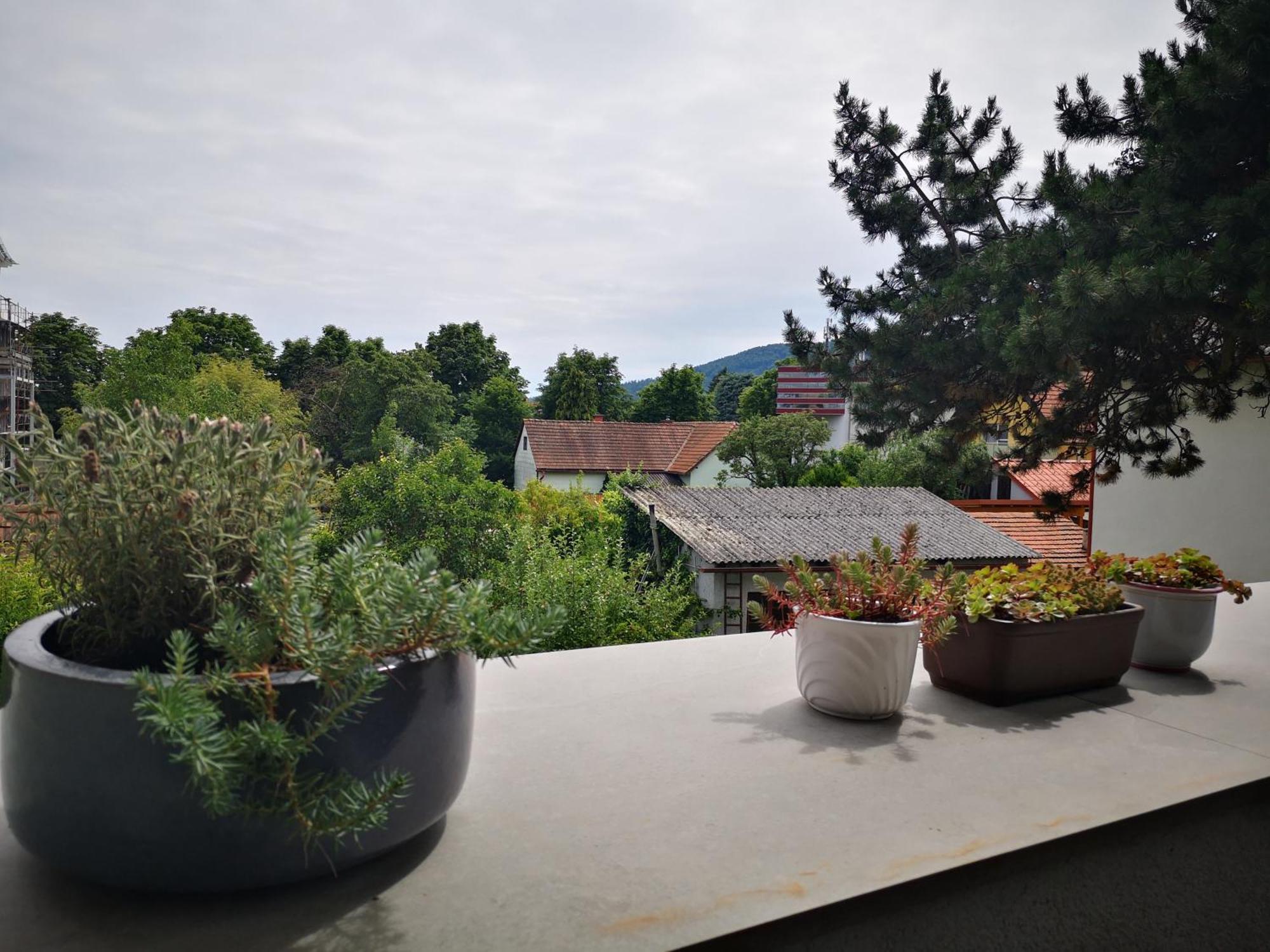 Spacy Apartment Next To The Center Of Graz With Terrasse Bagian luar foto